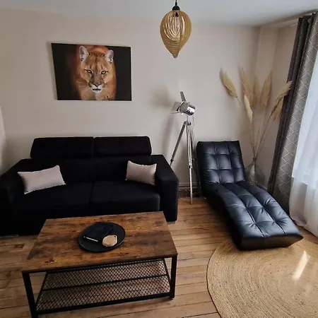 Apartament La Symphonie Charleville-Mézières